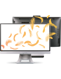 Business All-in-One PC