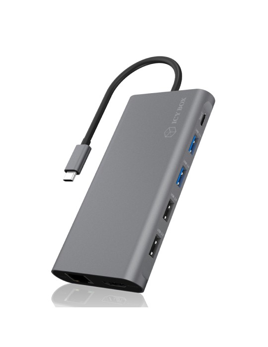ICY BOX USB Type-C 12in1 Notebook DockingStation (IB-DK4050-CPD)