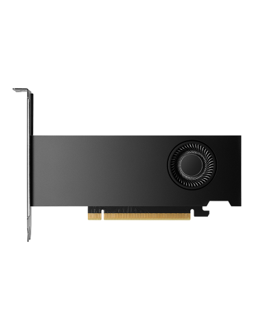 NVIDIA RTX 2000 Ada Generation - 16GB GDDR6, 4x mDP