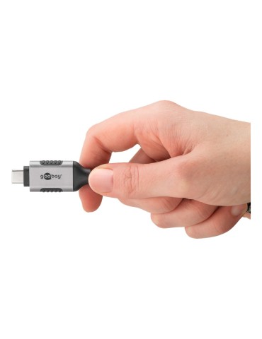 Goobay Ethernet-Kabel USB-C™ 3.1 auf RJ45, 10 m