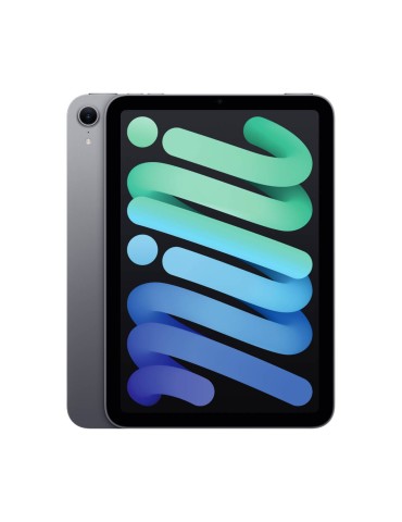 Apple iPad mini 8,3" Wi-Fi 256GB (spacegrau) 7. Gen 2024