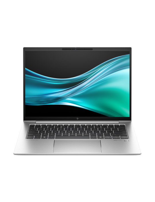 HP EliteBook 845 G11 927V6ES WUXGA R5-8 16 512 W11H inkl. Windows 11 Home & Installation