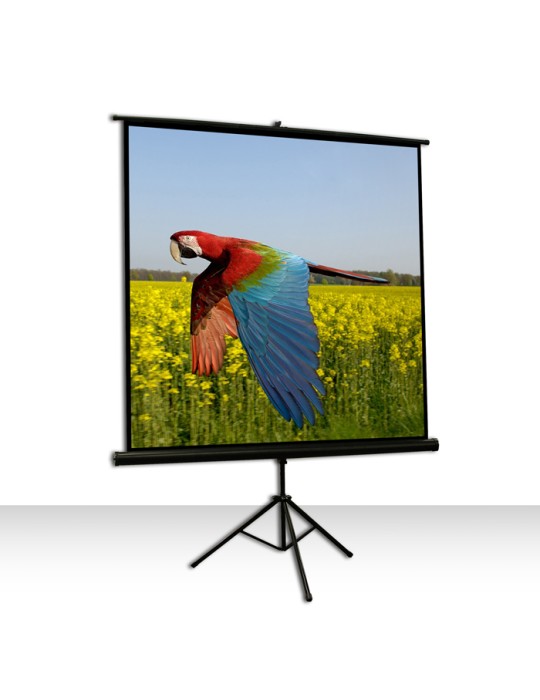 Celexon Economy 1:1 Tripod Screen 219 x 219