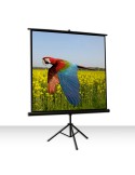 Celexon Economy 1:1 Tripod Screen 219 x 219