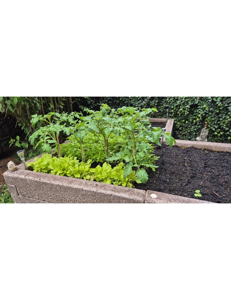 L-Form Hochbeet – Ergonomisch & Platzsparend für Garten & Terrasse | Shopvola.de