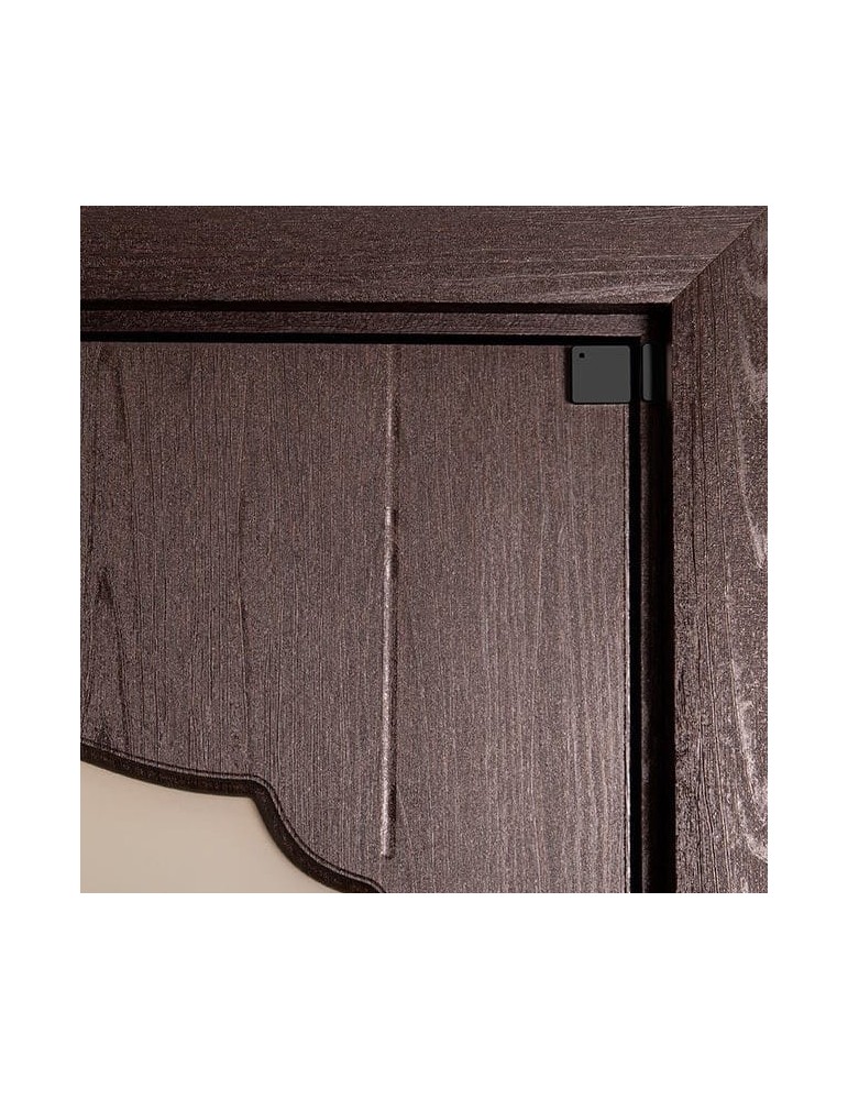 Shelly BLU Door/Window schwarz