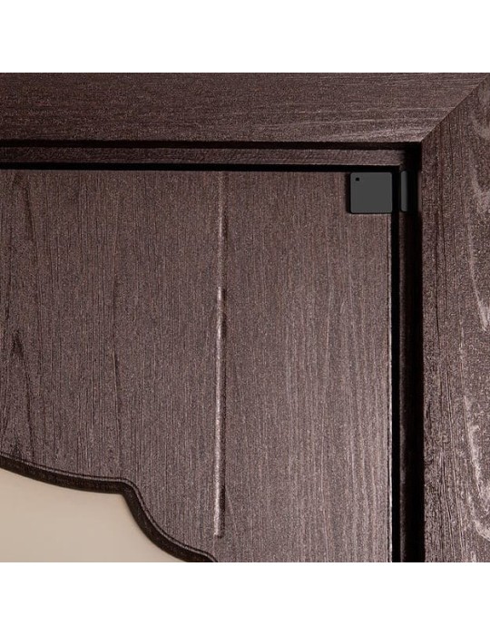 Shelly BLU Door/Window schwarz