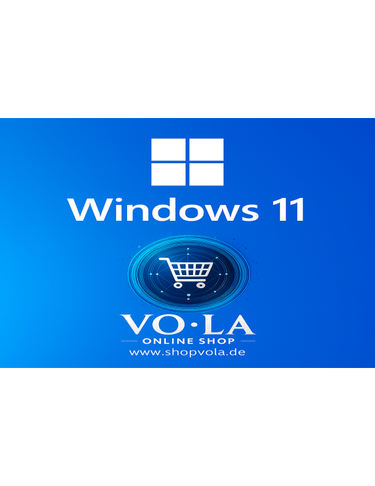 Microsoft Windows 11 Professional - 1Key