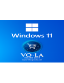 Microsoft Windows 11 Professional - 1Key