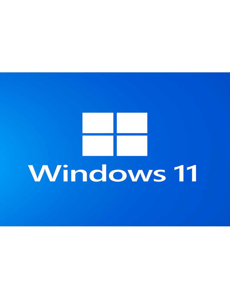 Microsoft Windows 11 Professional - 1Key