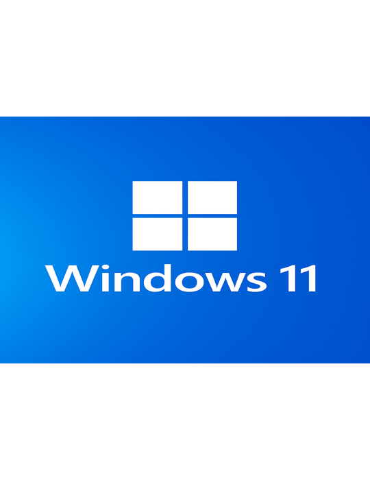 Microsoft Windows 11 Professional - 1Key