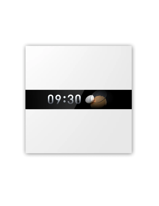 Aqara Display Switch V1