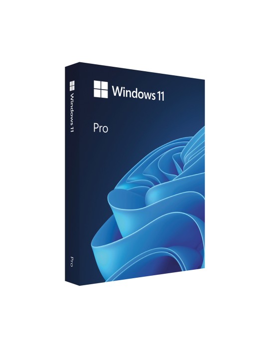 Microsoft Windows 11 Pro