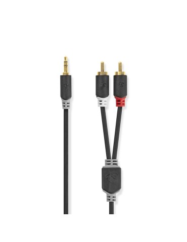 Nedis Stereo-Audiokabel | 3.5 mm Stecker | 2x RCA Stecker Vergoldet | 1.00 m | rund | Anthrazit | Verpackung mit Sichtfenster