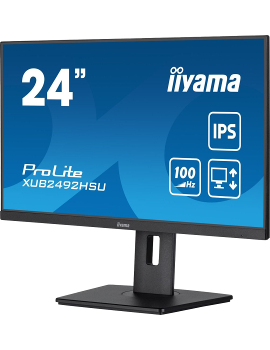 iiyama ProLite XUB2492HSU-B6