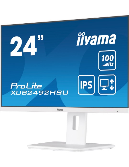 iiyama ProLite XUB2492HSU-W6