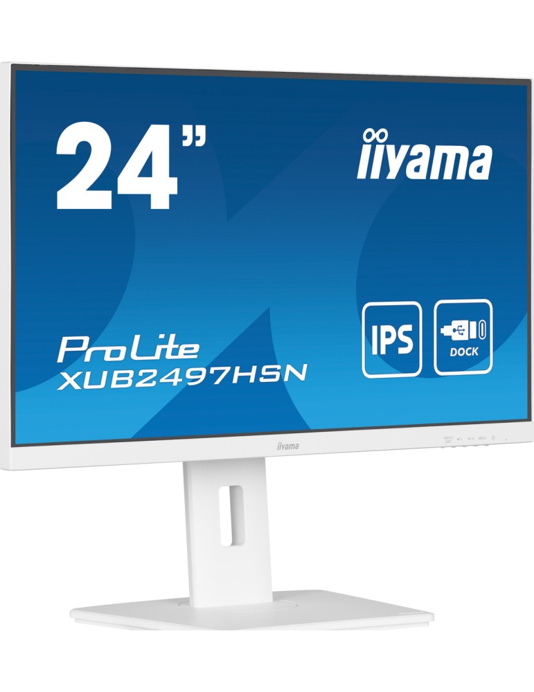 iiyama ProLite XUB2497HSN-W2