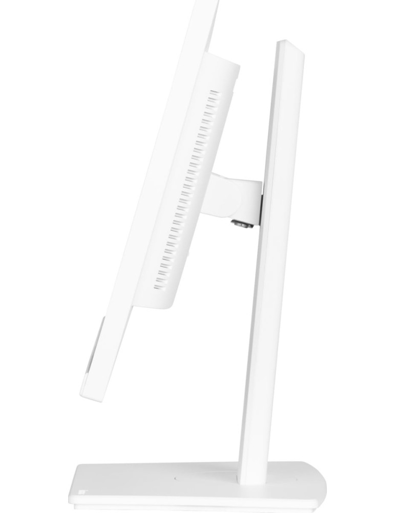 iiyama ProLite XUB2497HSN-W2