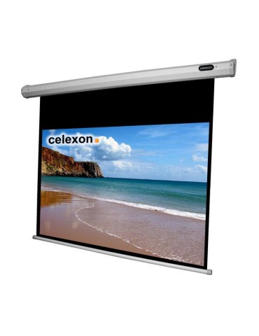 Celexon Leinwand Motor Economy 240x240 Format 1:1