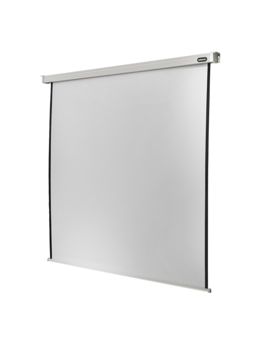 Celexon Leinwand Motor Professional Format 1:1, 200 x 200 cm