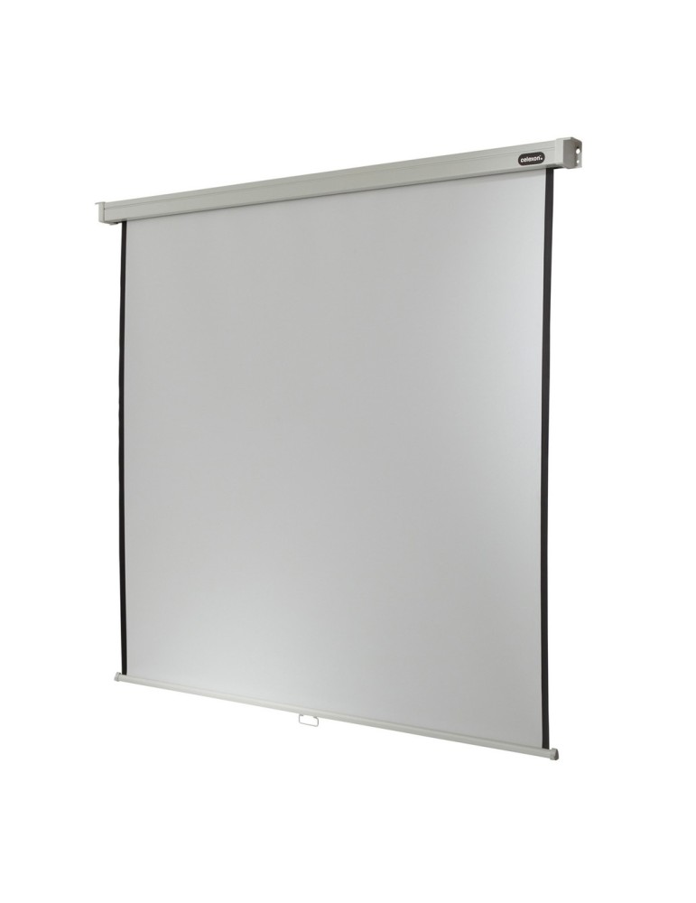 Celexon Rollo Professional Leinwand Format 1:1, 200 x 200 cm