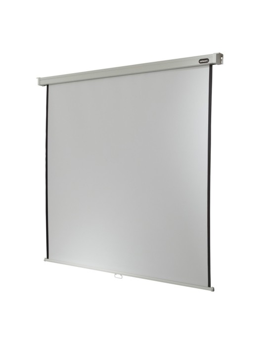 Celexon Rollo Professional Leinwand Format 1:1, 200 x 200 cm