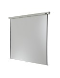 Celexon Rollo Professional Leinwand Format 1:1, 200 x 200 cm