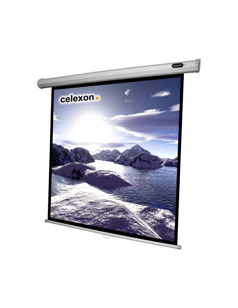 Celexon Rollo Economy Leinwand Format 1:1, 200 x 200 cm