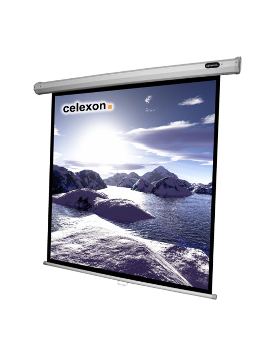Celexon Rollo Economy Leinwand Format 1:1, 200 x 200 cm