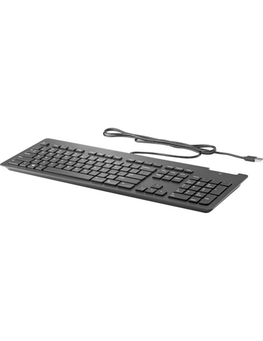 HP USB Slim Business Smart Card Tastatur