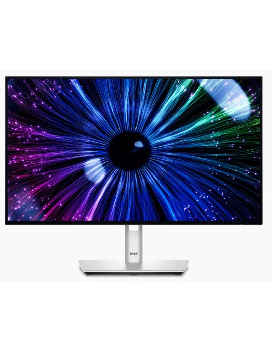 Dell UltraSharp U2424HE Office Monitor - IPS, Pivot, USB-C