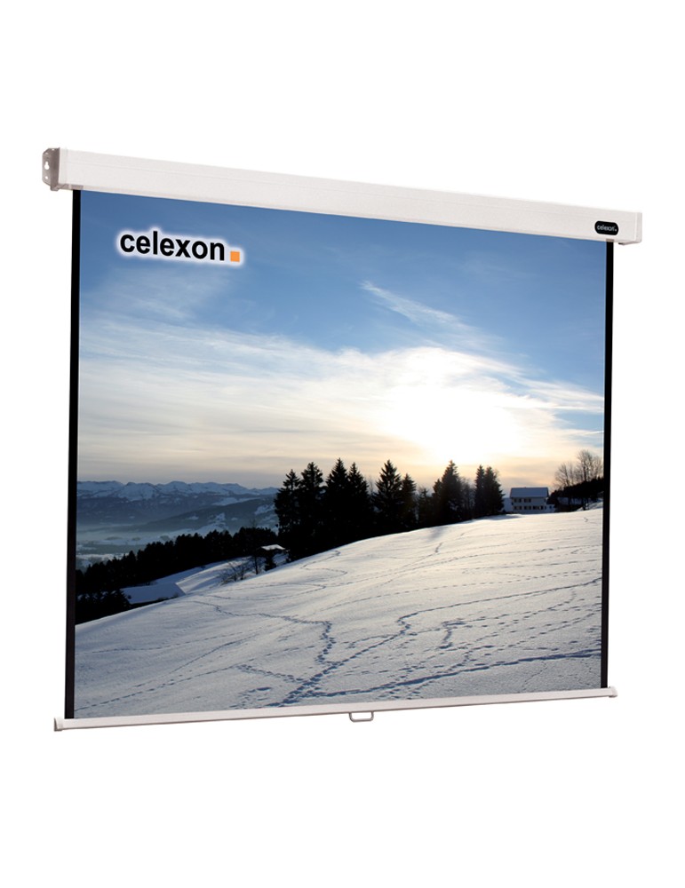 Celexon Professional 1:1 Manual Screen 220x220