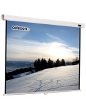 Celexon Professional 1:1 Manual Screen 220x220