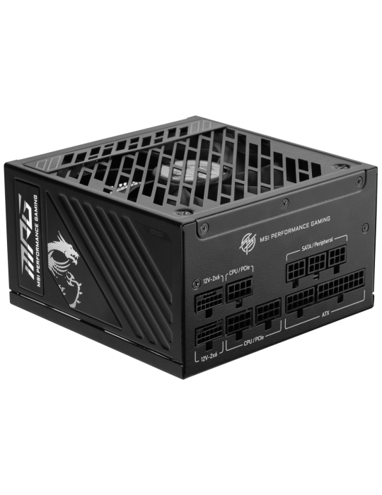 MSI MPG A1000GS PCIE5 | PC-Netzteil