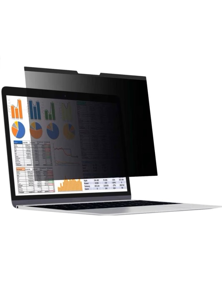 DISPLEX Privacy Safe Blickschutzfolie Universal (Mag)15,6", 16:9